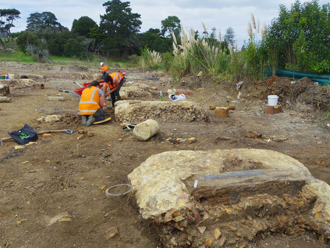 Get the inside scoop with an Auckland archaeologist 2