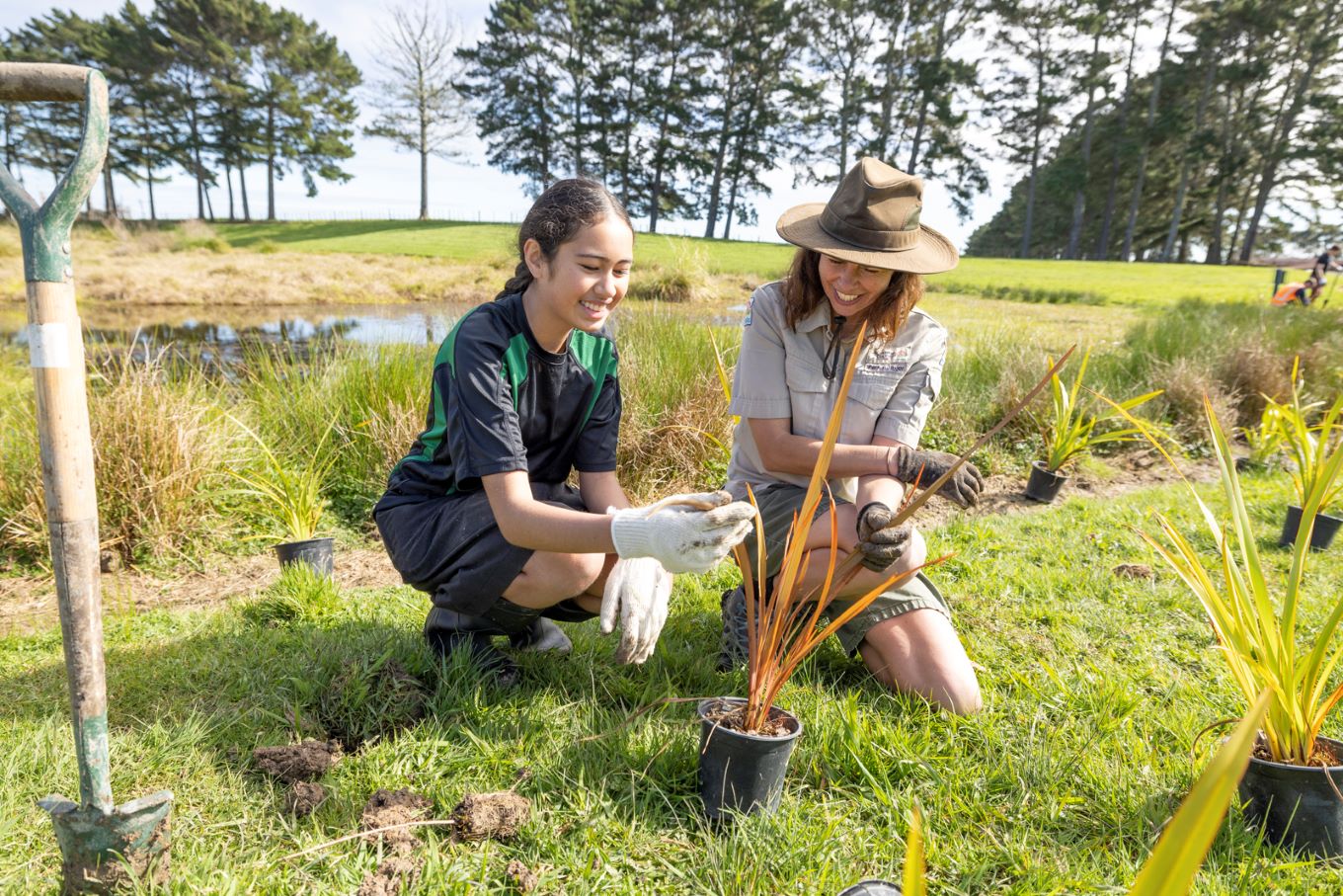 Auckland Council using AI technology to understand tree canopy cover changes