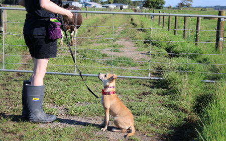 Thai (ON HOLD) tile image