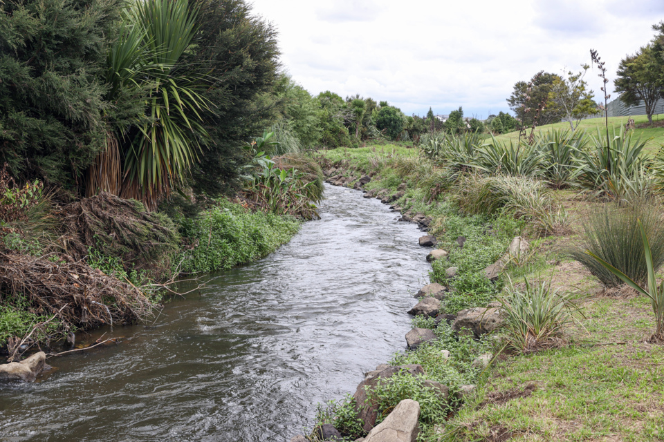 The health of the Papakura Stream remains a concern, with a further commitment made to working with the Franklin and Papakura boards to enhance it.