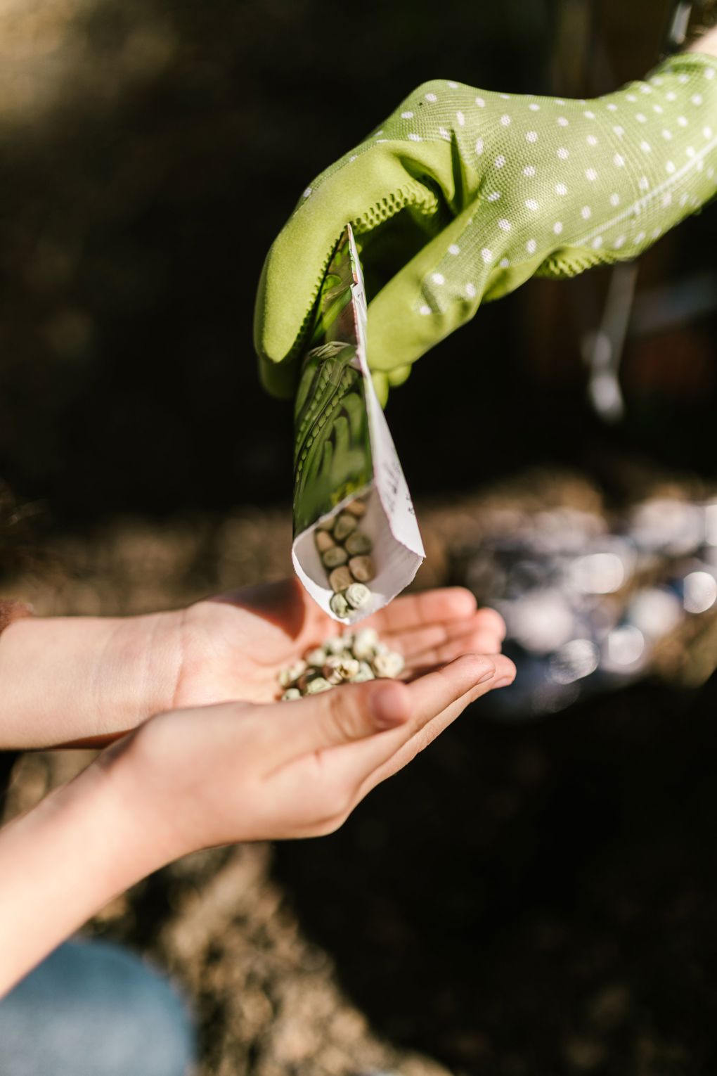 Garden Help and Seed Sharing_vdtpohnp.jpg