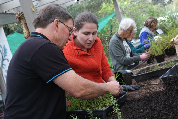 Kapatiki Project B.jpg