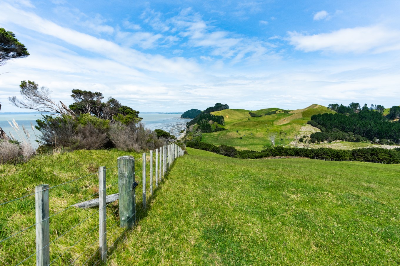 Te Rau Puriri Regional Park (South Head) was a film location for The Convert.