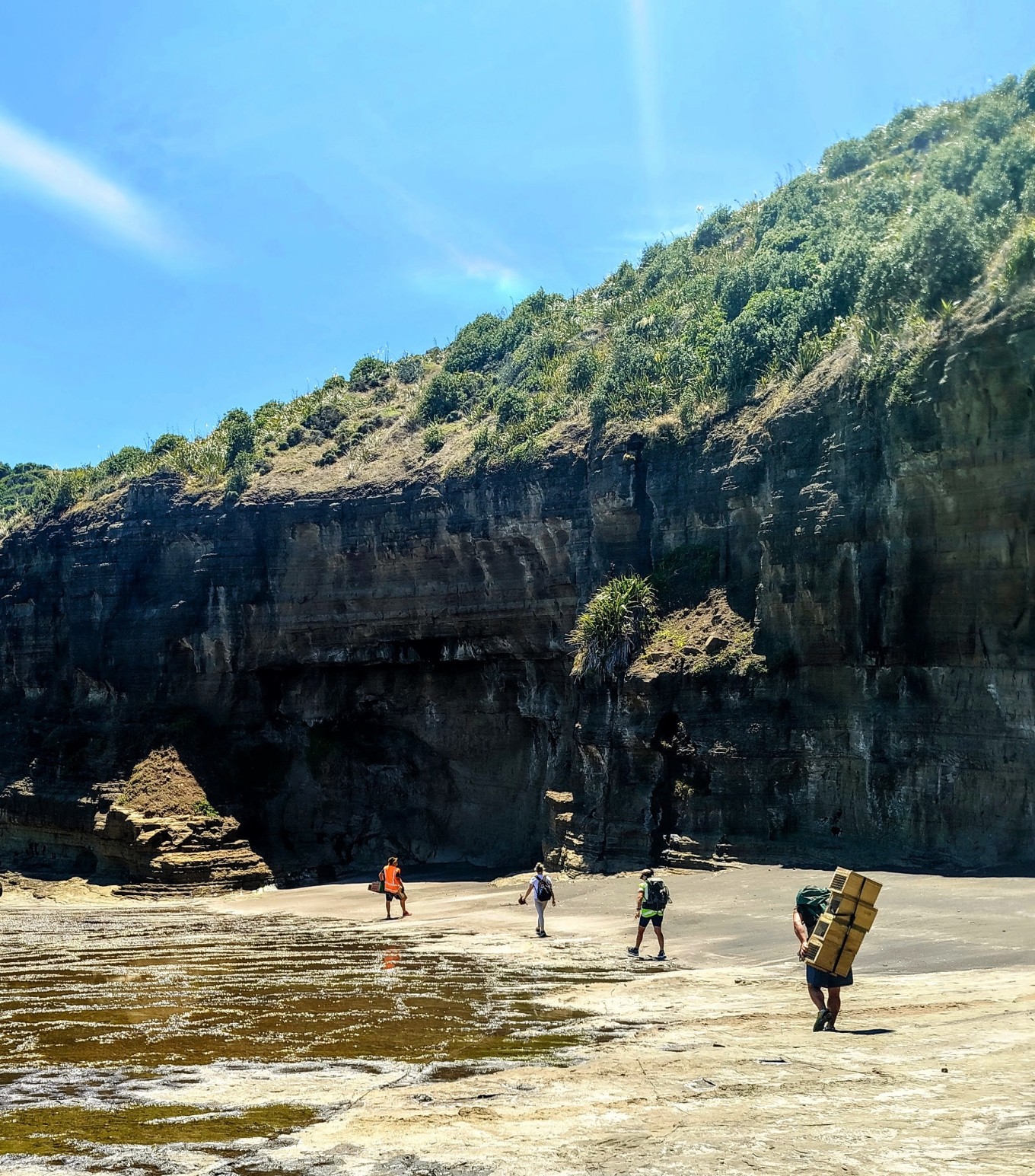 Volunteers on a beach. 