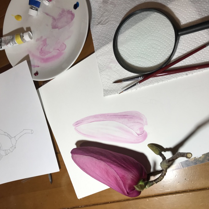 Botanical watercolour for beginners at Auckland Bot Gardens_wakuk4ex.JPG