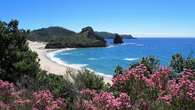 Hauraki Gulf marine plan 'Sea Change' launched