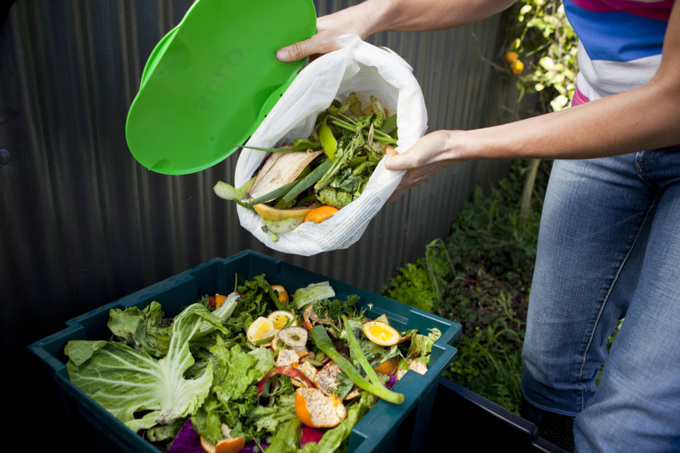 Students learn skills to combat climate change