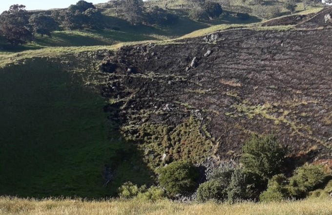 End of fireworks sales at The Warehouse welcomed by Tupuna Maunga Authority