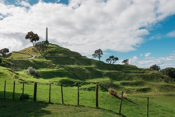 Maungakiekie/One Tree Hill planting symbol of new Auckland 7