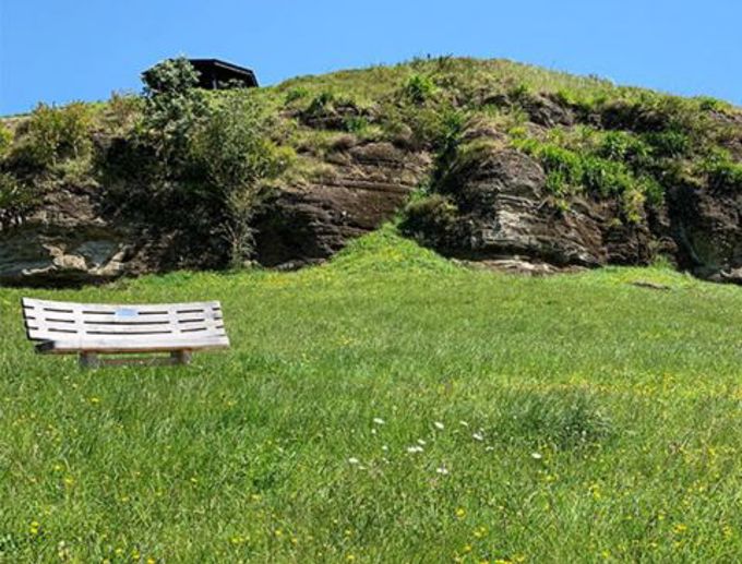 FAC Our Auckland Cover Photo (52)_gpld1udh.jpg