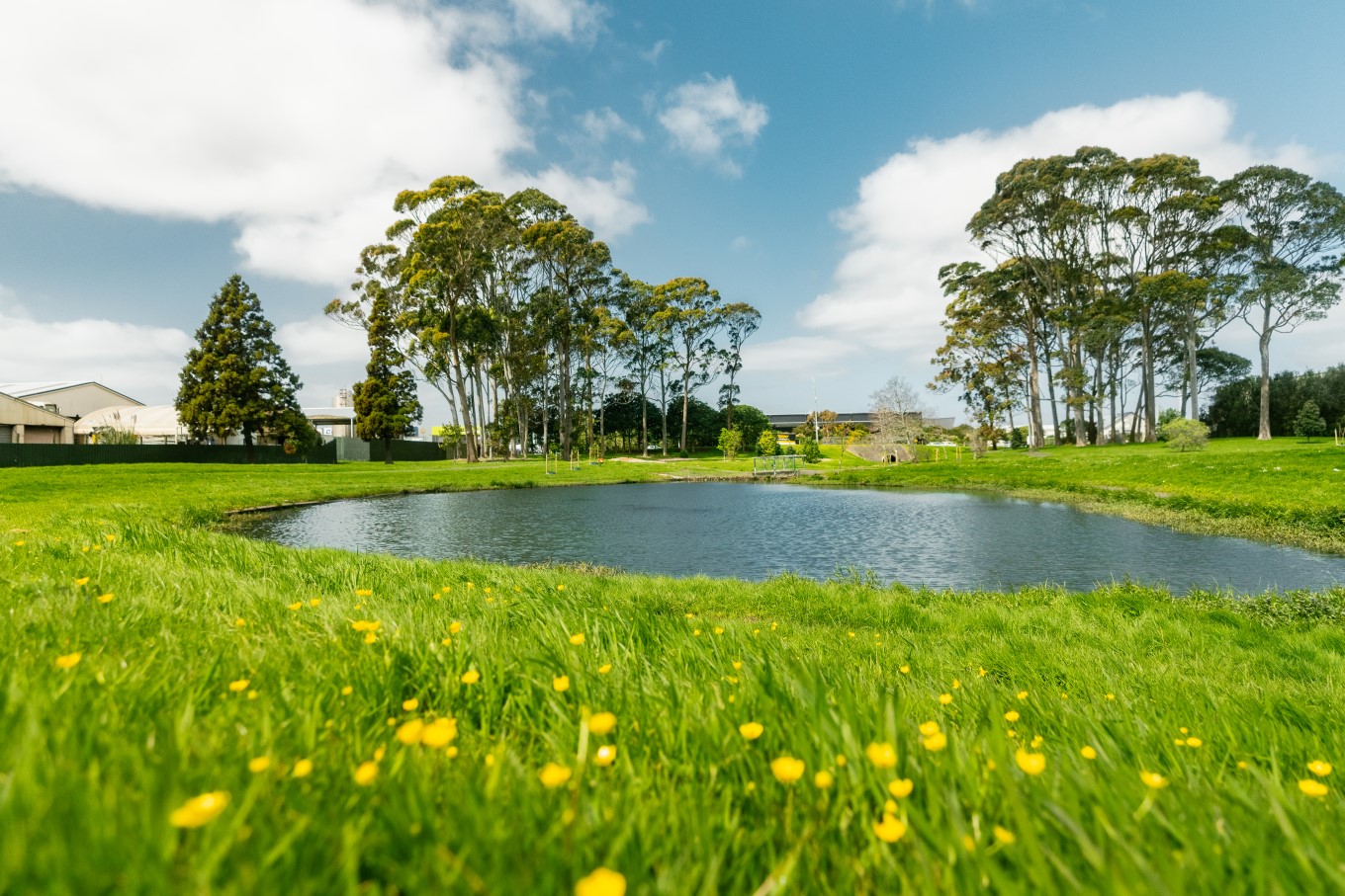 Upgrades at Puhinui Domain are part of the Te Whakaoranga o te Puhinui regeneration project which aims to improve the health of Puhinui Stream and the wellbeing of the community.