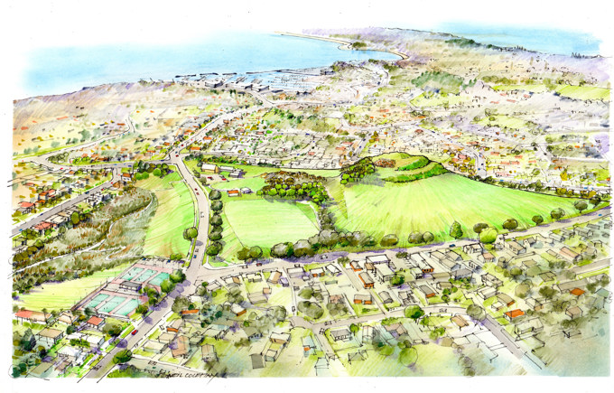 Restoration of native ecology on Ōhuiarangi / Pigeon Mountain begins (1)