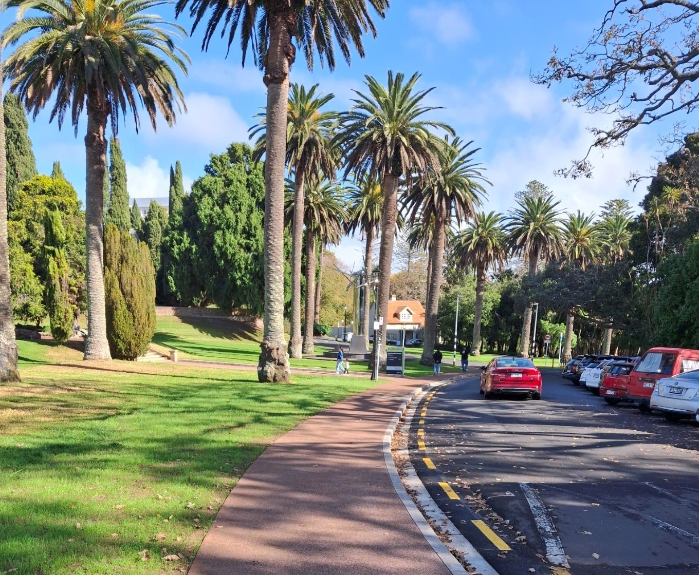 A footpath beside a road lined with palm trees in a park.