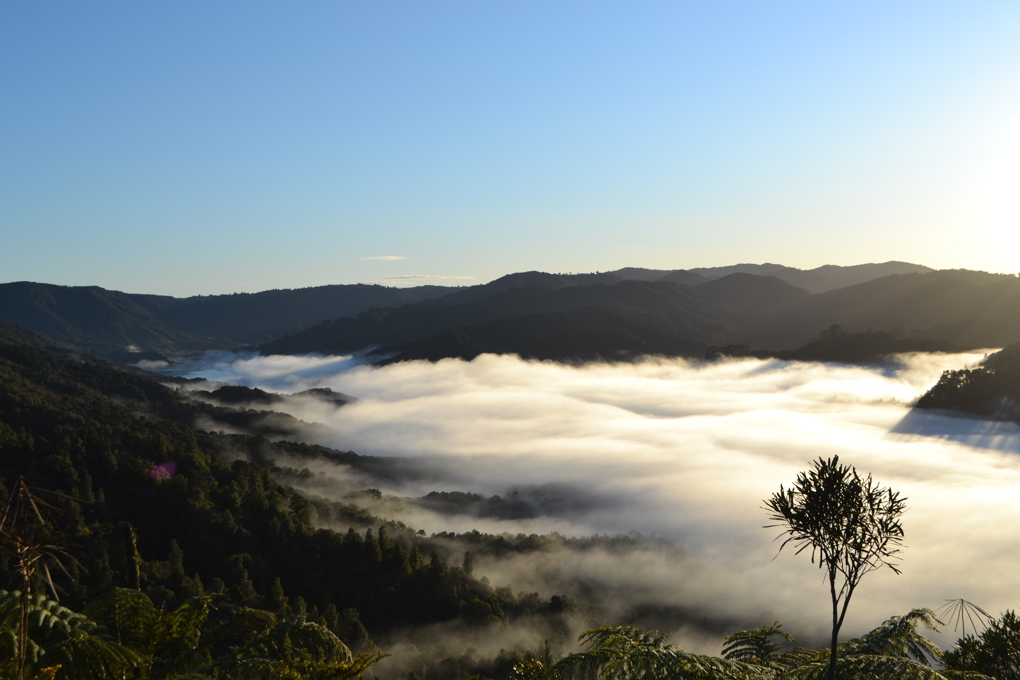 Hunua Ranges