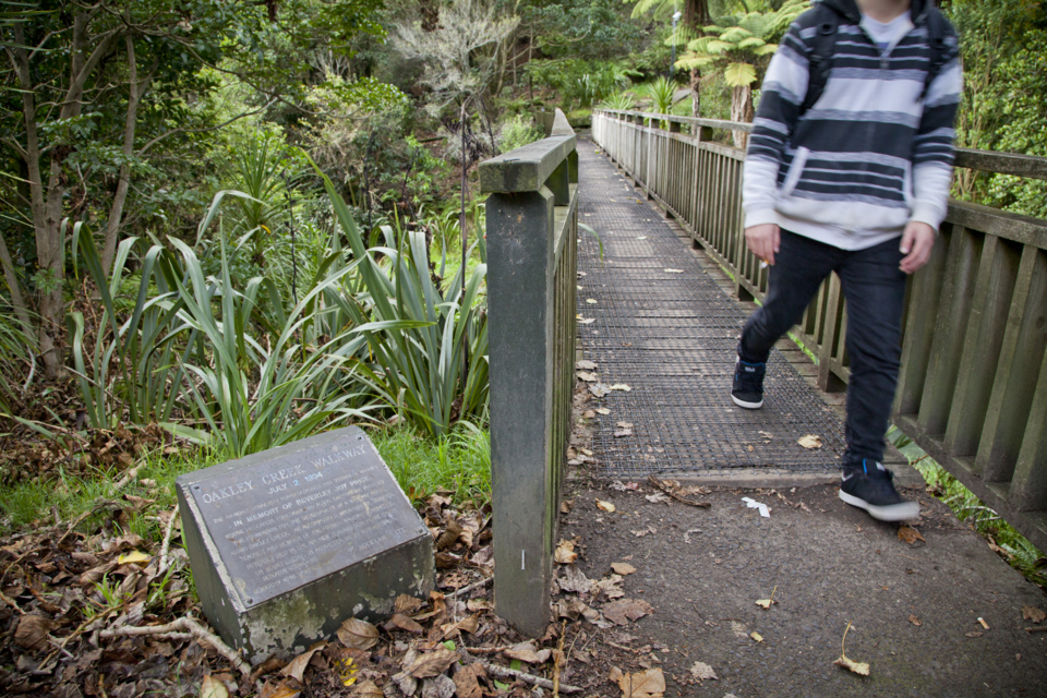 tackling-anti-social-behaviour-in-parks-ourauckland