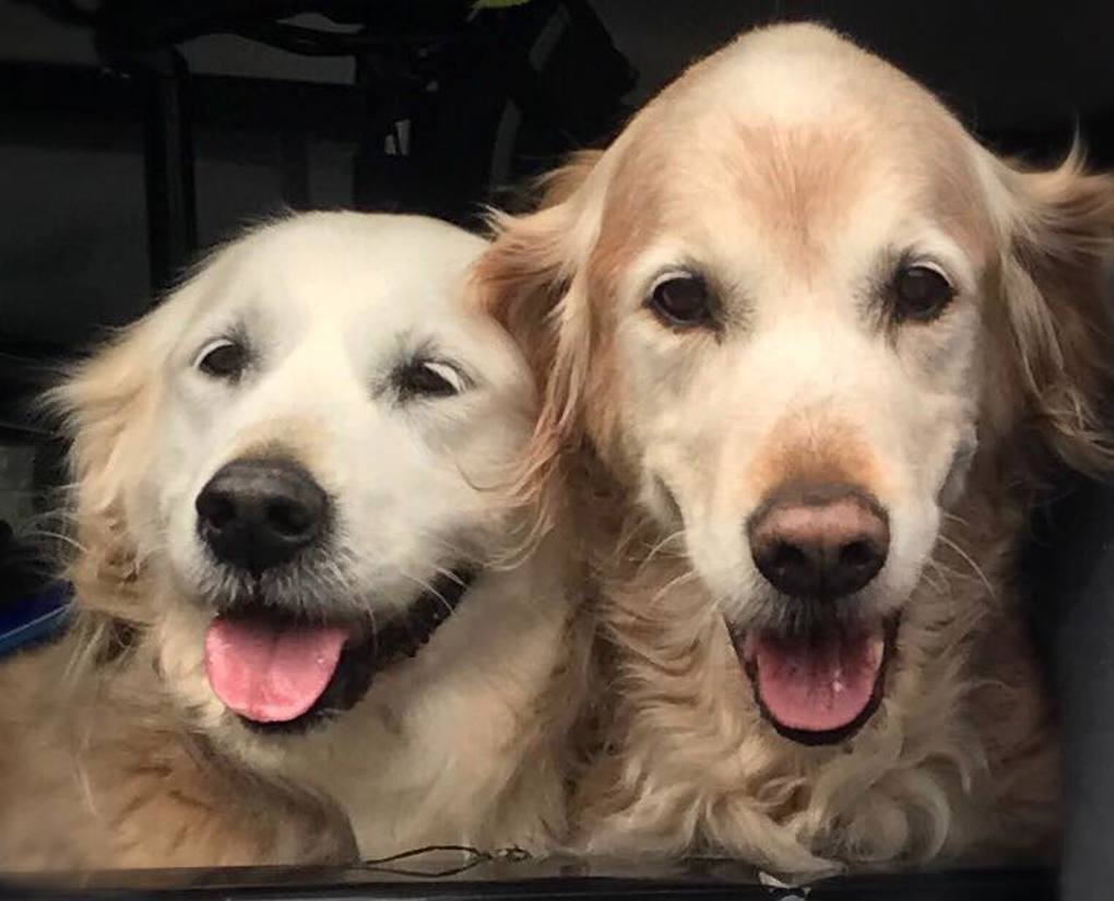 Ruby and Toby