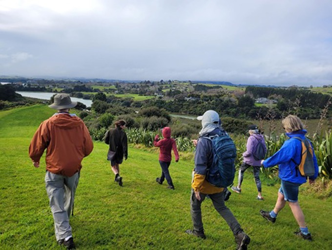 Sub 45 Gudied Walk Hill Top At Mangemangeroa
