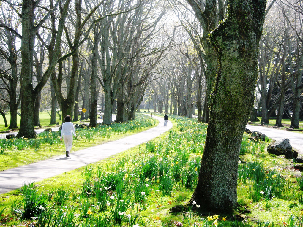 Cornwall Park