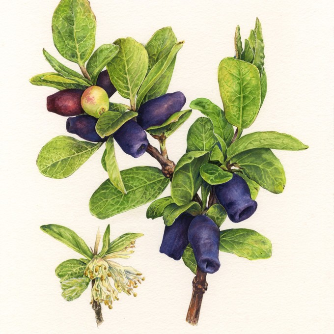 Kings Birthday Image 3