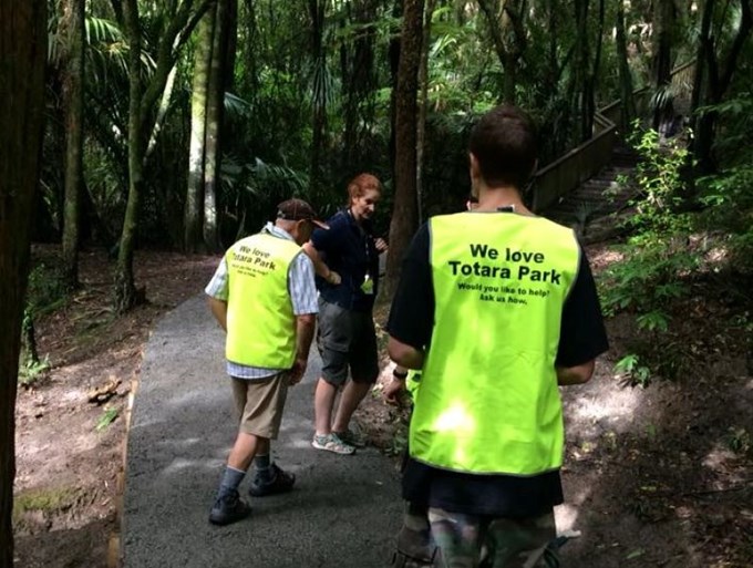 Totara Park planting helps to green the city (1)