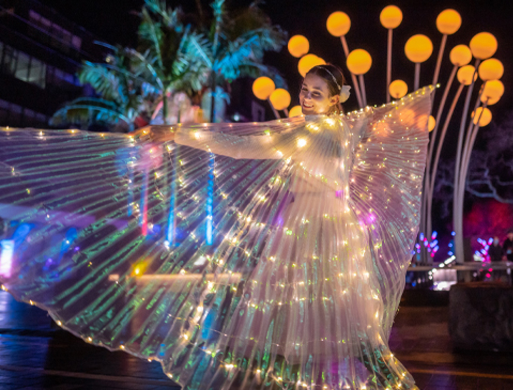 480x365-Takapuna-Winter-Lights-2026-2_rljof2fm.jpg