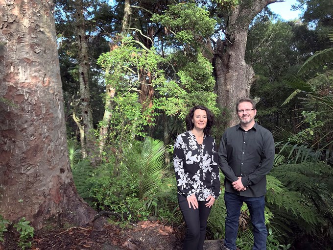 Danielle Grant and John Gillon visit kauri in Lynn Reserve, Bayview.