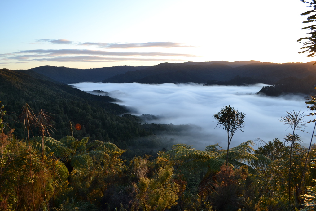 Hunua.jpg