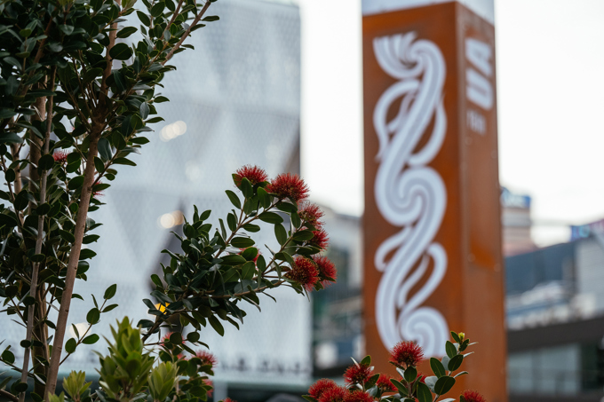 Te Maharatanga O Ngā Wai 5