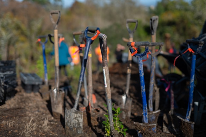 Aerovista Place Reserve Matariki Planting