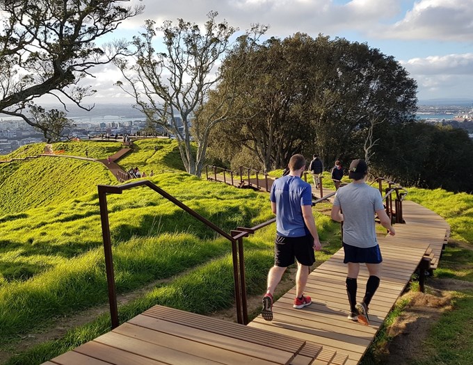 New boardwalk the next step in preservation of Maungawhau