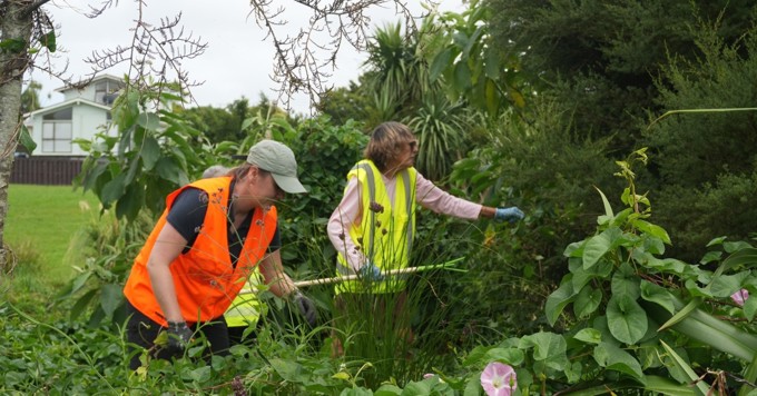 Beautification Trust Weed Control