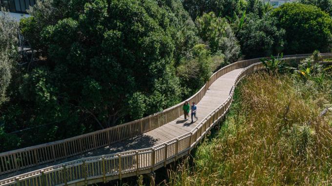 People Walking On Boardwalk In The Bush Reserve