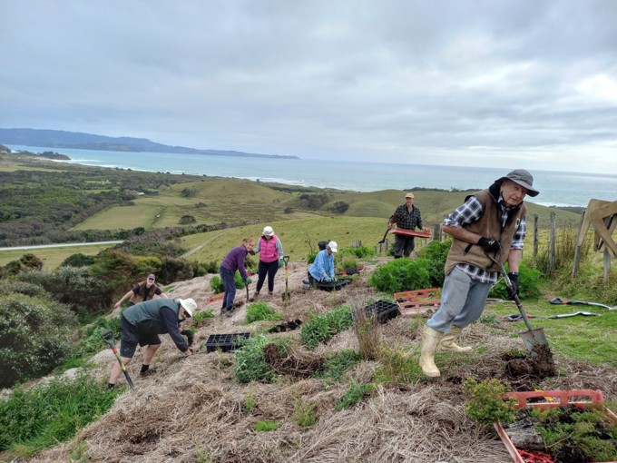 International Volunteer Day Image 4