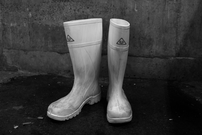 Heritage Festival Diary Week Four Stepping Back Into The Shed