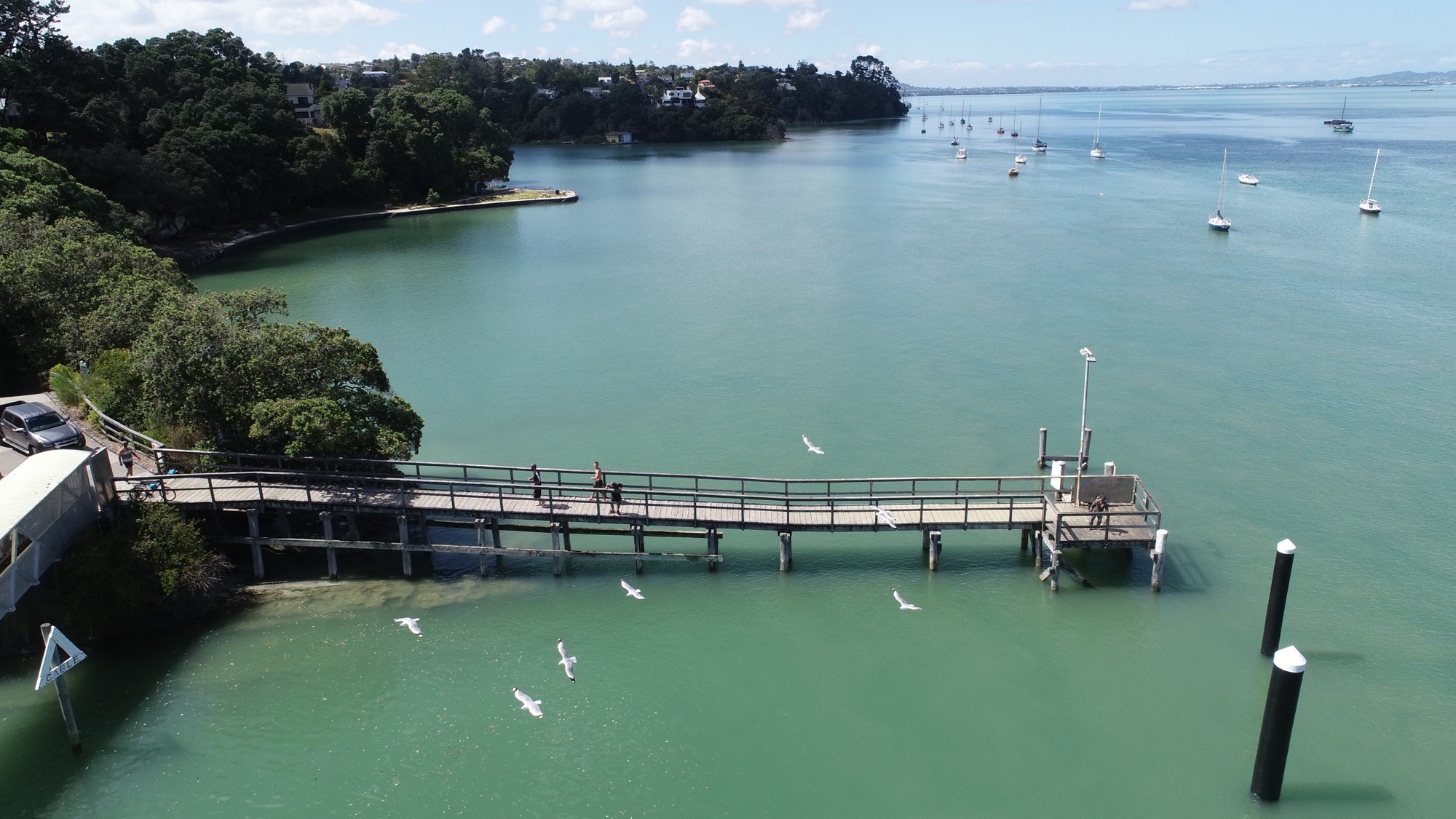 Stronger future for Beach Haven recreational wharf - OurAuckland 