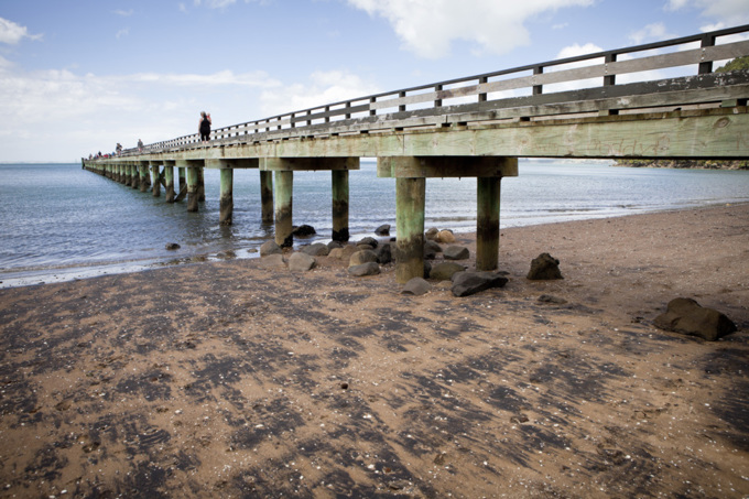 Walks out West that are not in the Waitakeres (1)
