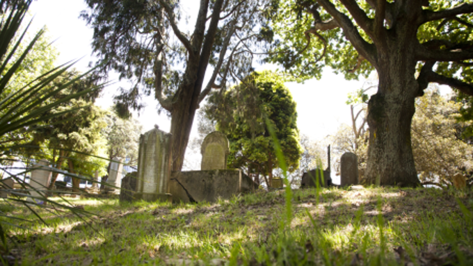 Fancy a fright this Friday? (4)