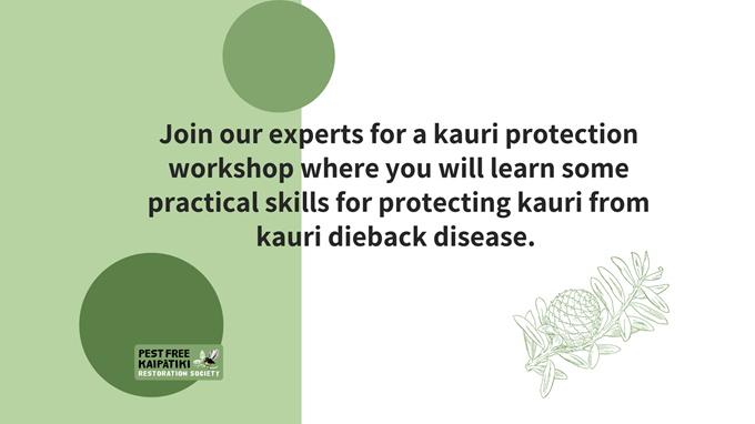 Free Kauri Protection Workshop