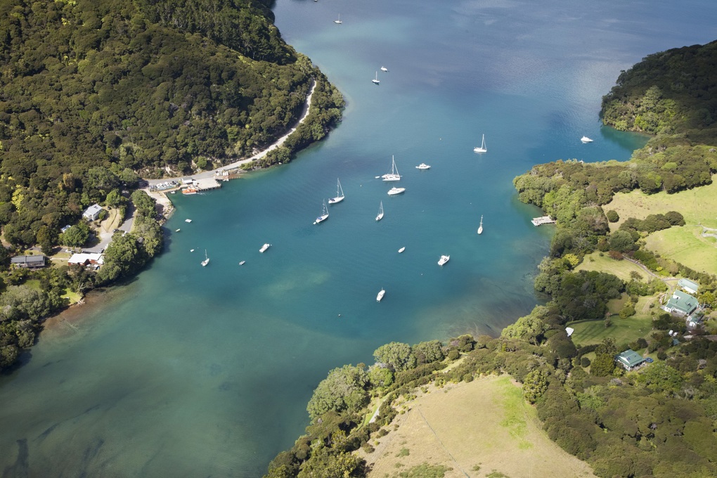 Pests under pressure in Hauraki Gulf (1)