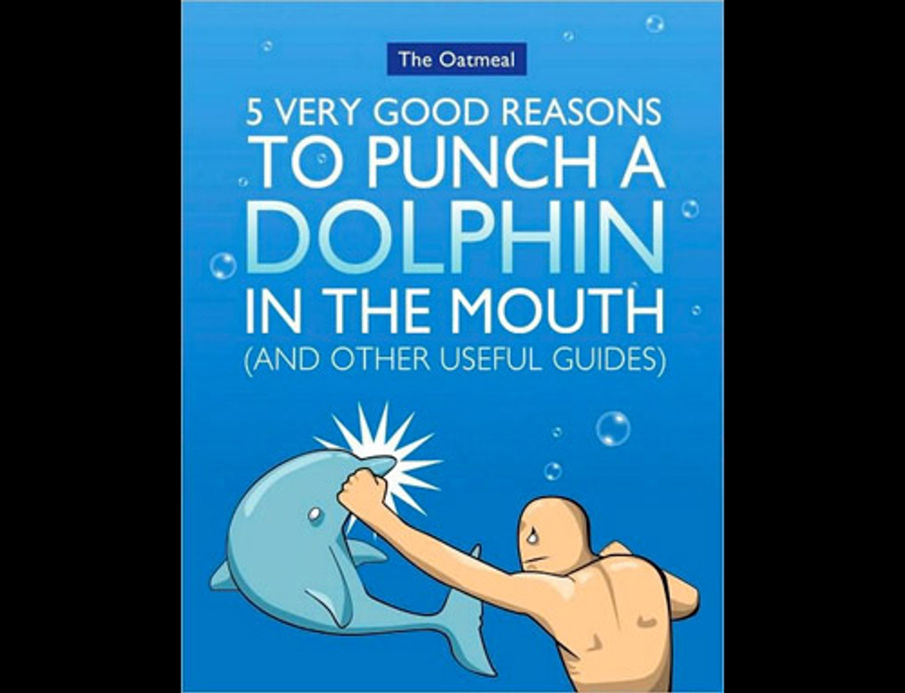 Quirky dolphin