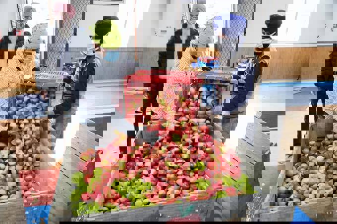 Temple rallies to help Papakura during lockdown (1)