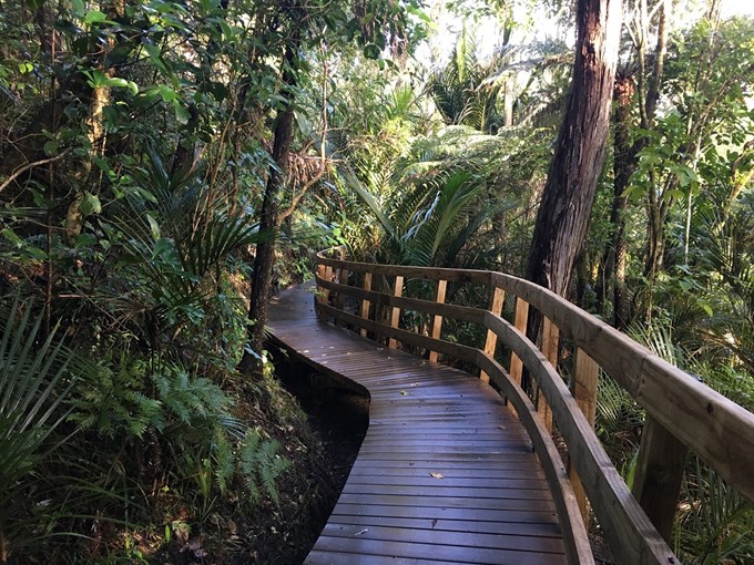 What's on the horizon in 2021 for kauri tracks