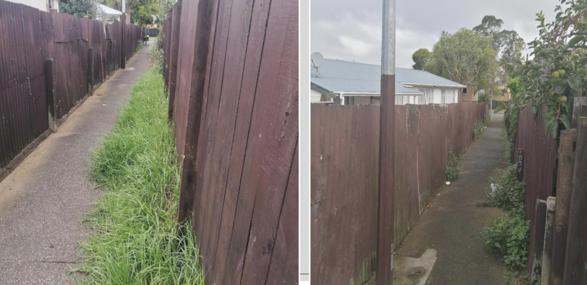 Before: alleyway with overgrown weeds