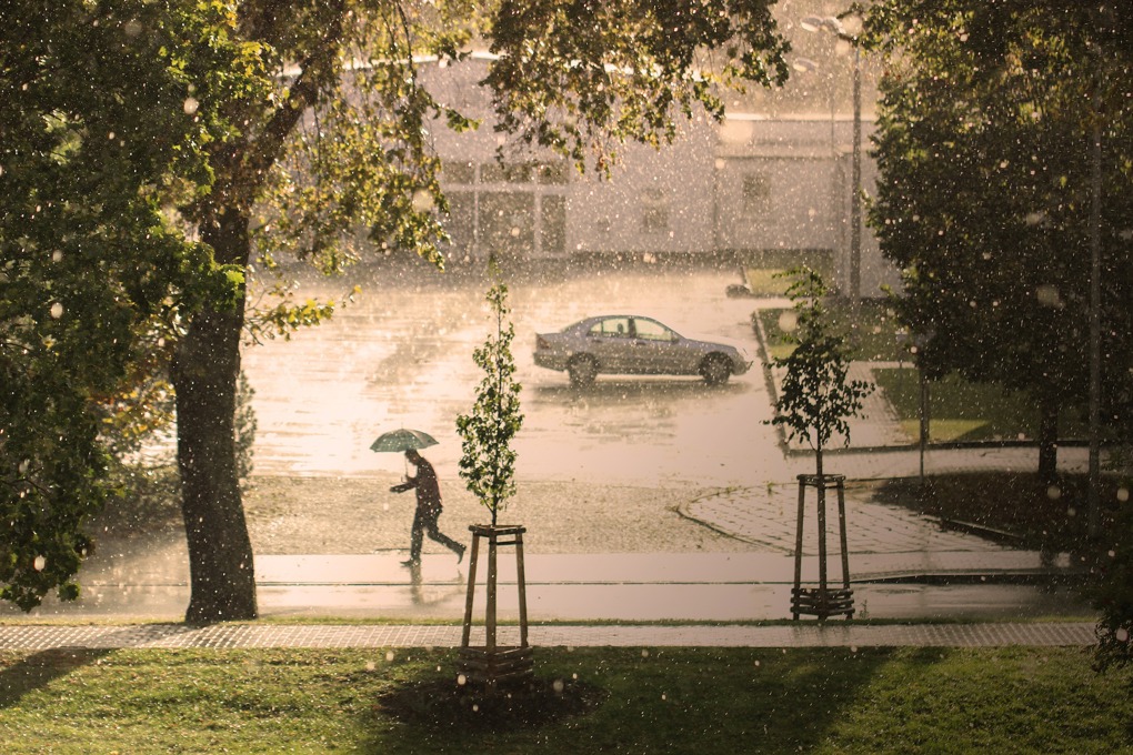 Rainy day