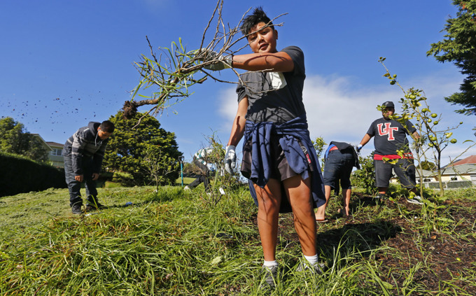 Waitematā Local Board seek nominations for Good Citizens’ Awards