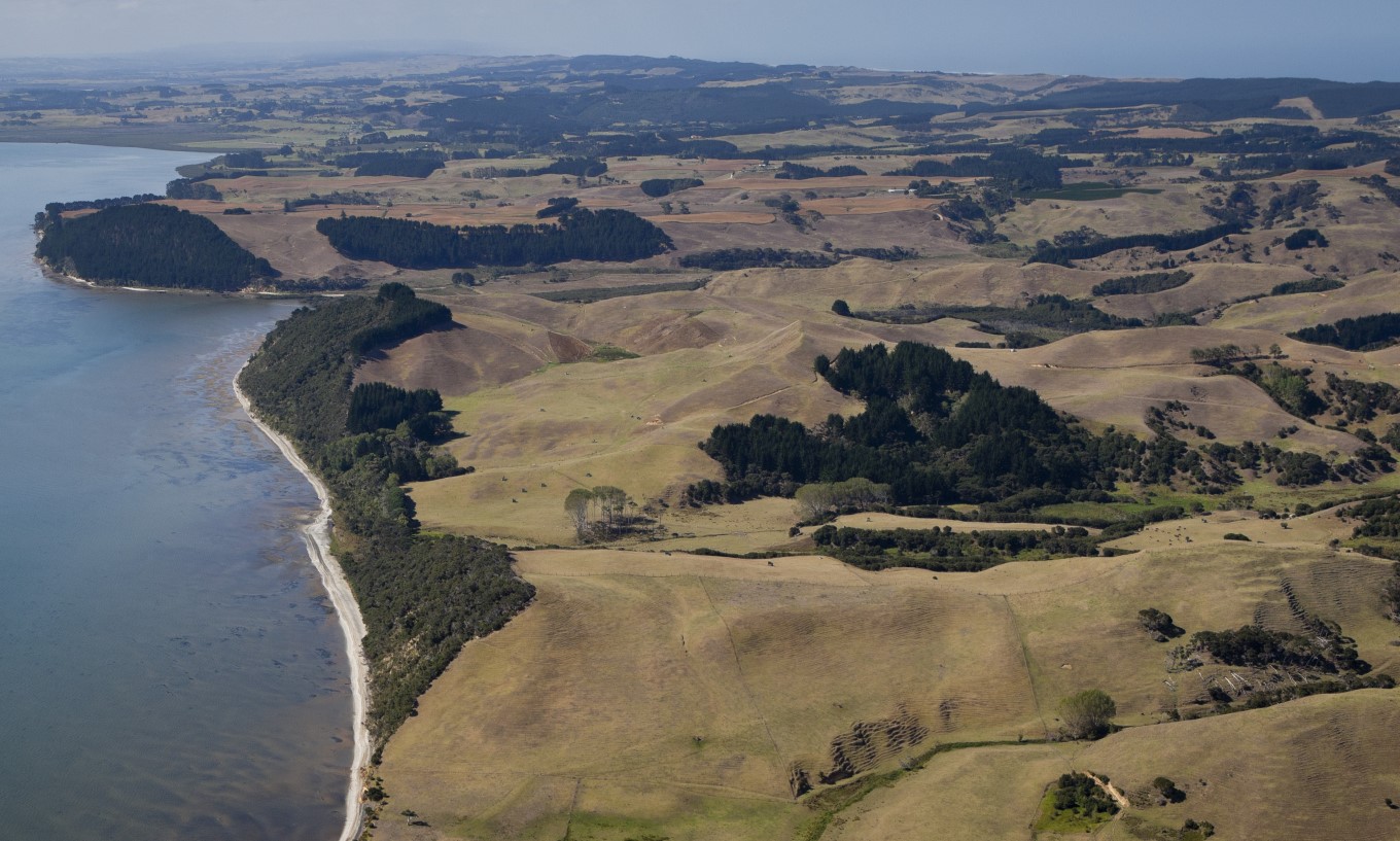 Te Rau Pūriri Regional Park