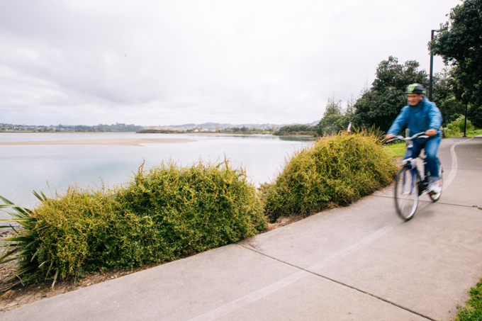 Budget boost for Hibiscus and Bays