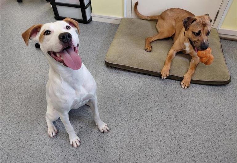 4674F91c E686 4985 94F6 0Ba4f481224b