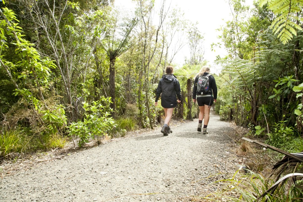 Staying safe in Auckland’s regional parks 1