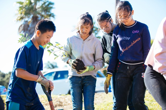 Nominations open for Upper Harbour Volunteer Recognition Awards